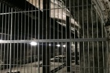 grille-anti-intrusion-acier-2